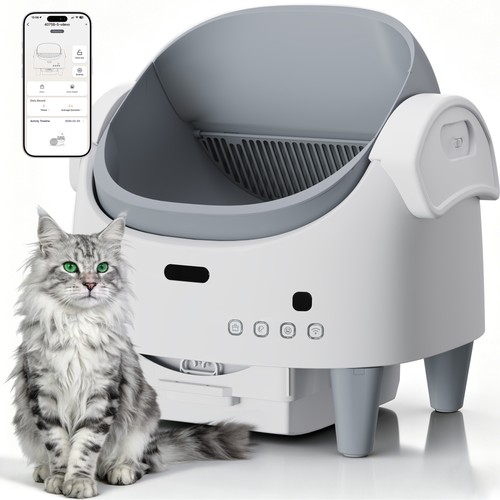 Open top automatic cat litter - cat,